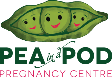 Pea in a Pod Pregnancy